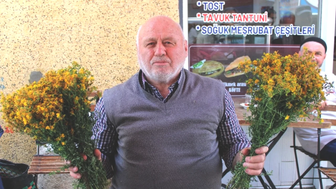 Dağların Şifalı Bitkisi: Pazara Gelen Şifalı Demet 30 TL'den Tükendi!